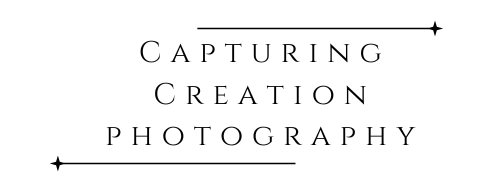 Capturing Creation